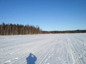 IMG_0878