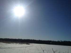 IMG_0884