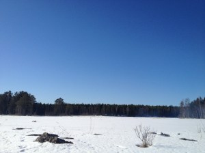 IMG_0886