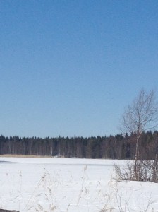 IMG_0906