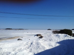 IMG_0918