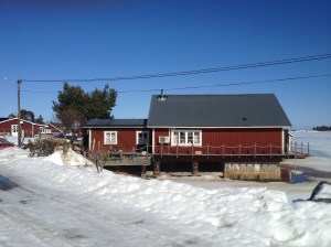 IMG_0919