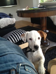 bild5