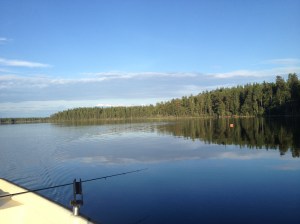 IMG_1513